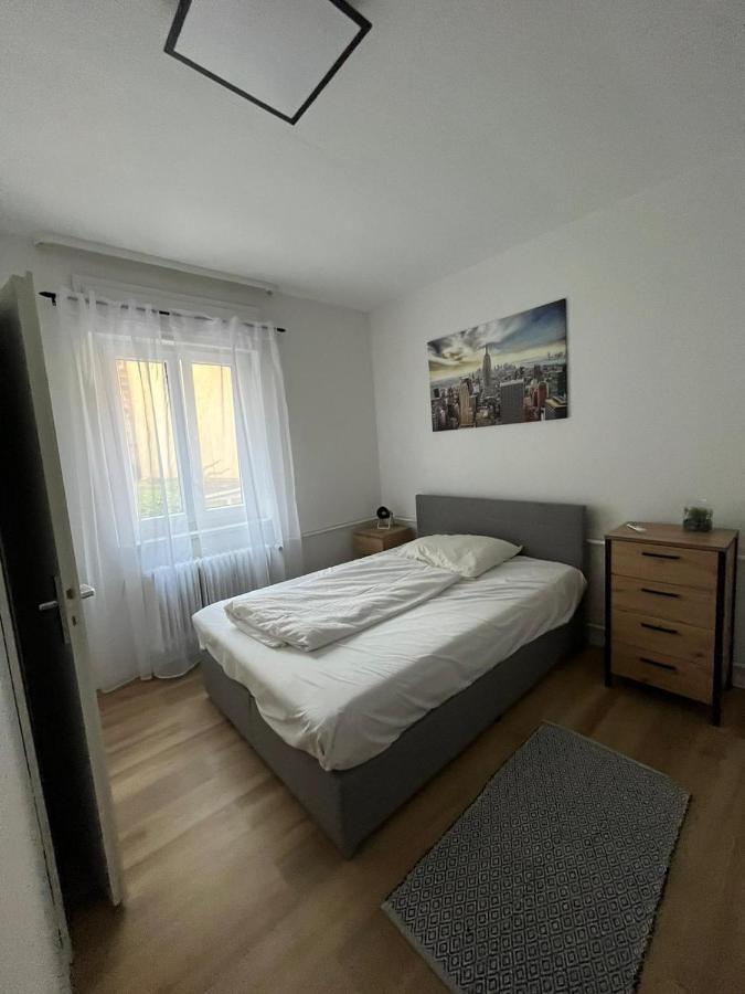 Swan Apartments ニュルンベルク エクステリア 写真