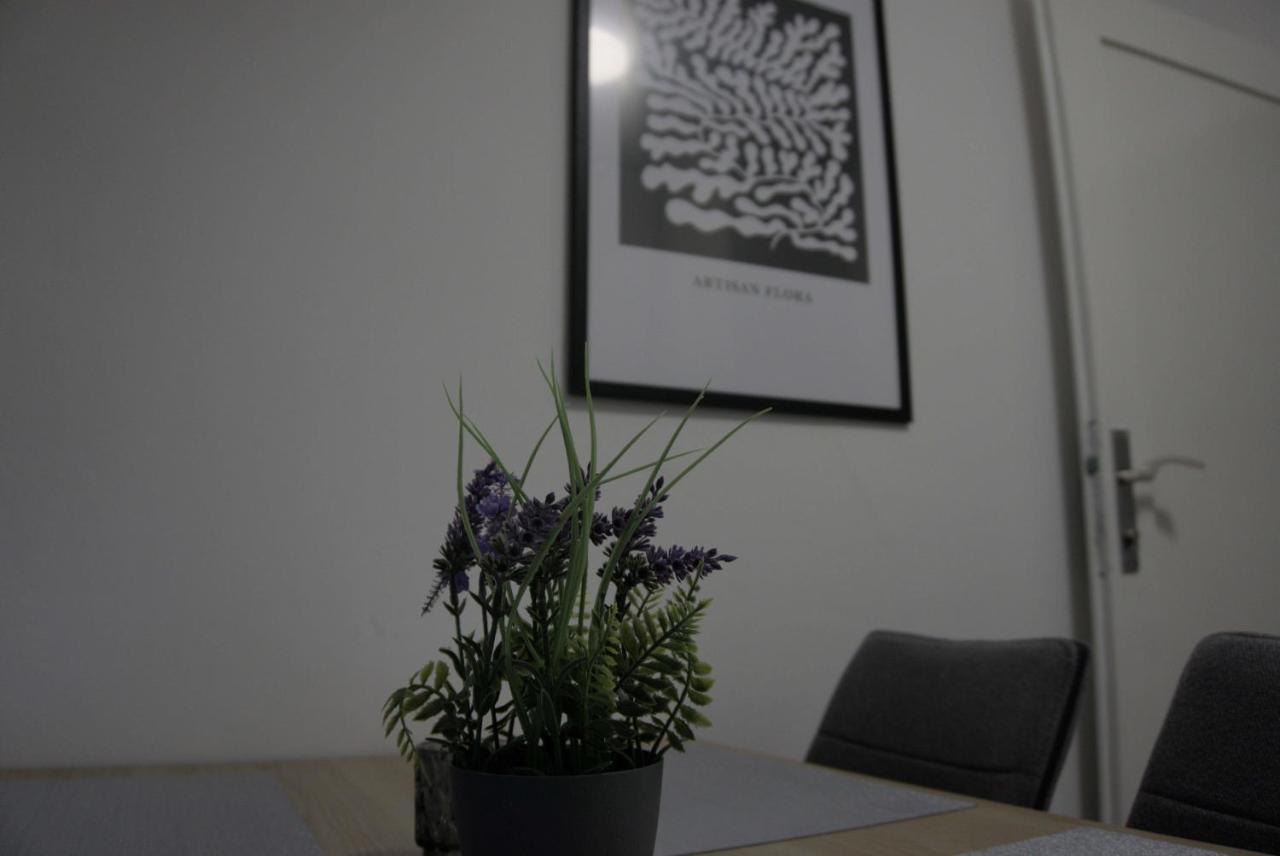 Swan Apartments ニュルンベルク エクステリア 写真